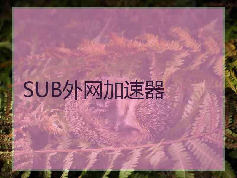 SUB外网加速器