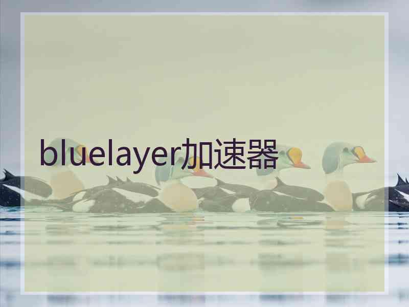 bluelayer加速器