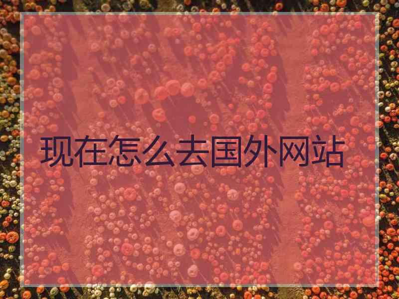 现在怎么去国外网站
