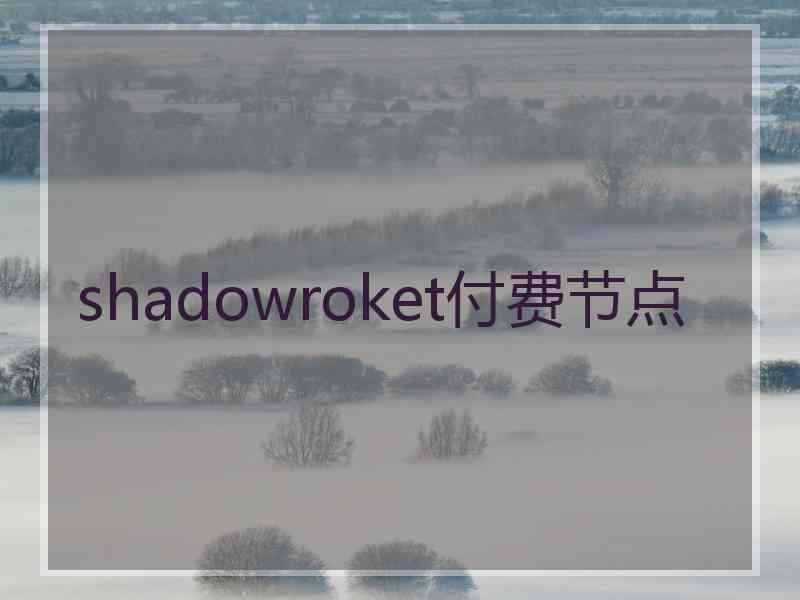 shadowroket付费节点