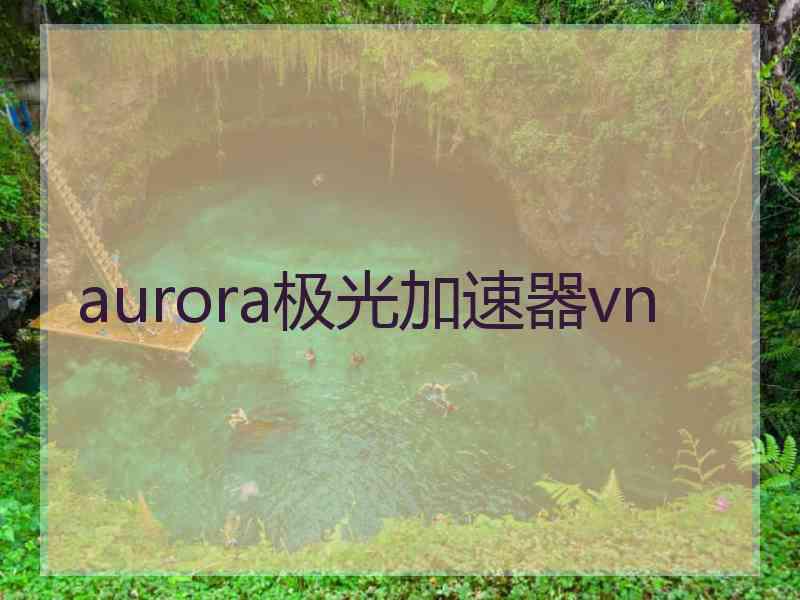 aurora极光加速器vn
