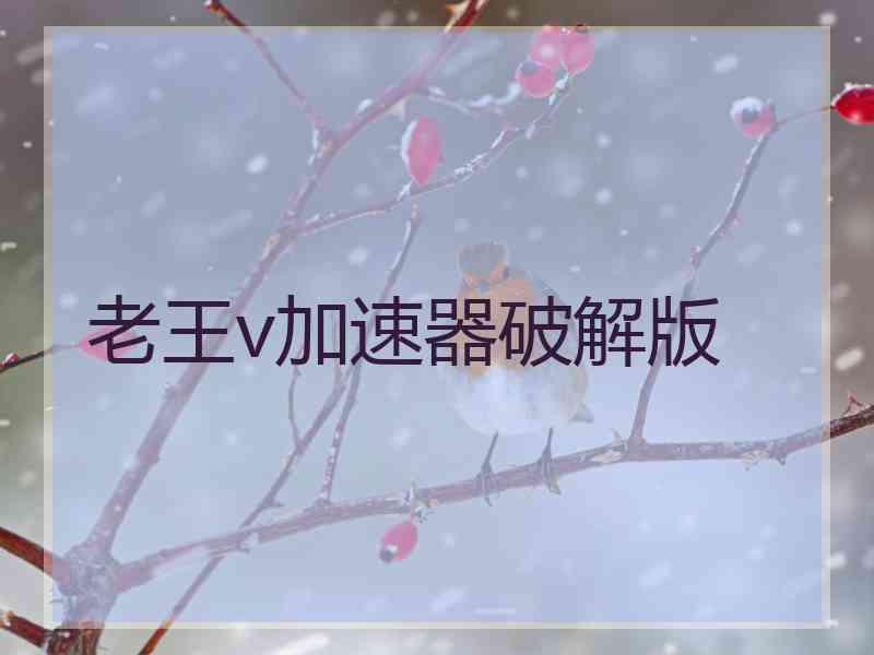 老王v加速器破解版