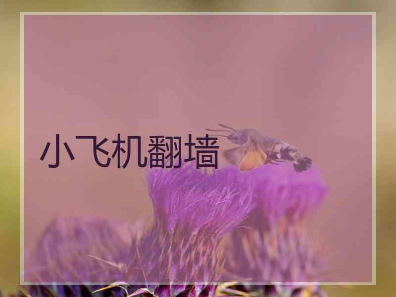 小飞机翻墙