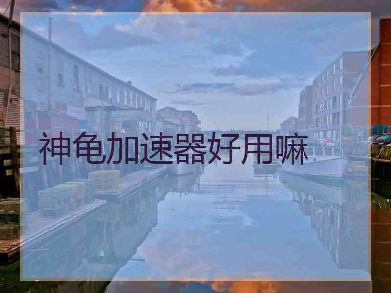 神龟加速器好用嘛