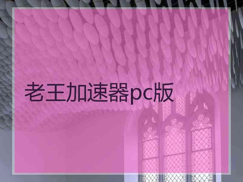 老王加速器pc版