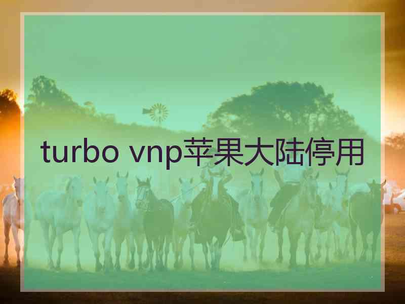 turbo vnp苹果大陆停用