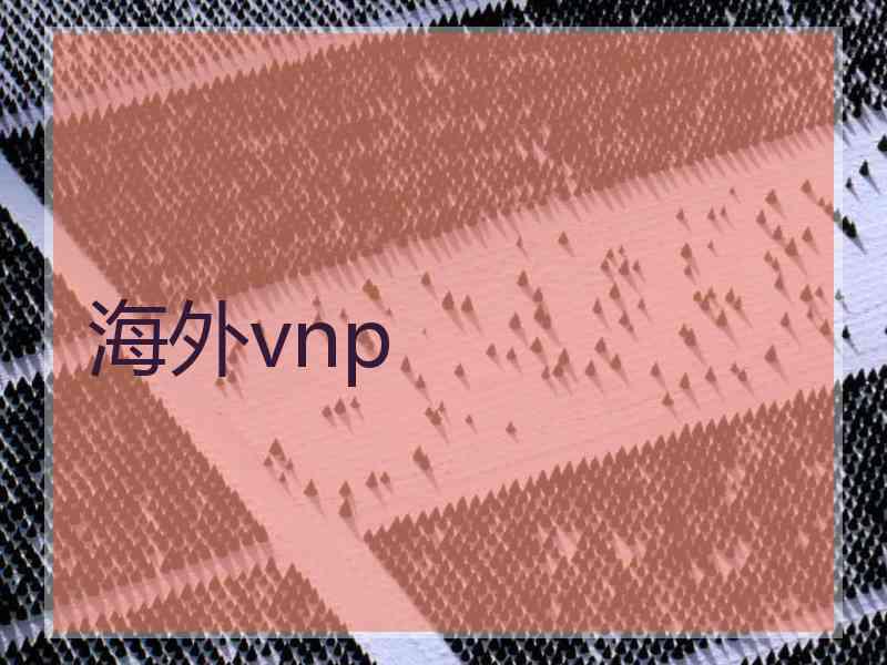 海外vnp