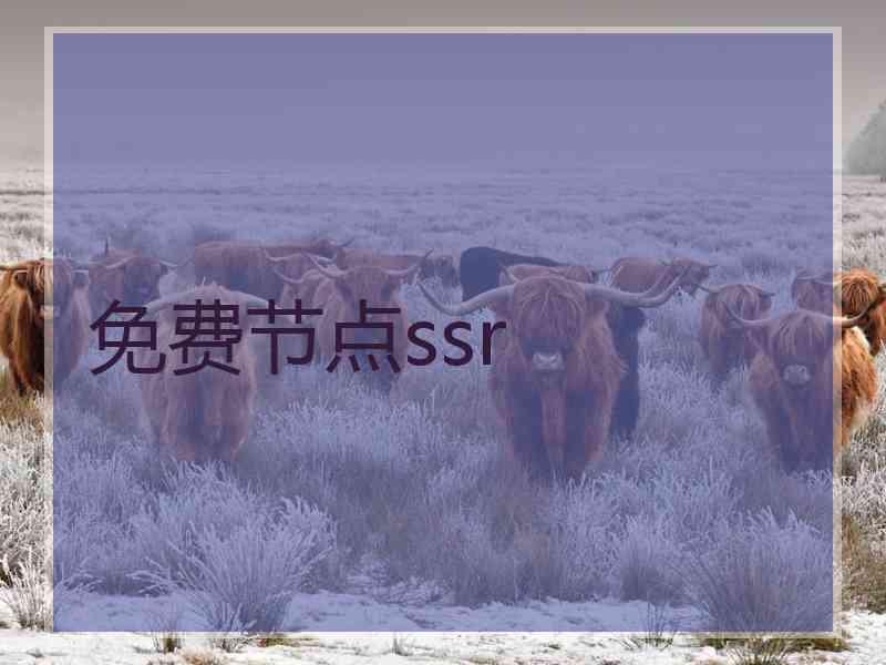 免费节点ssr