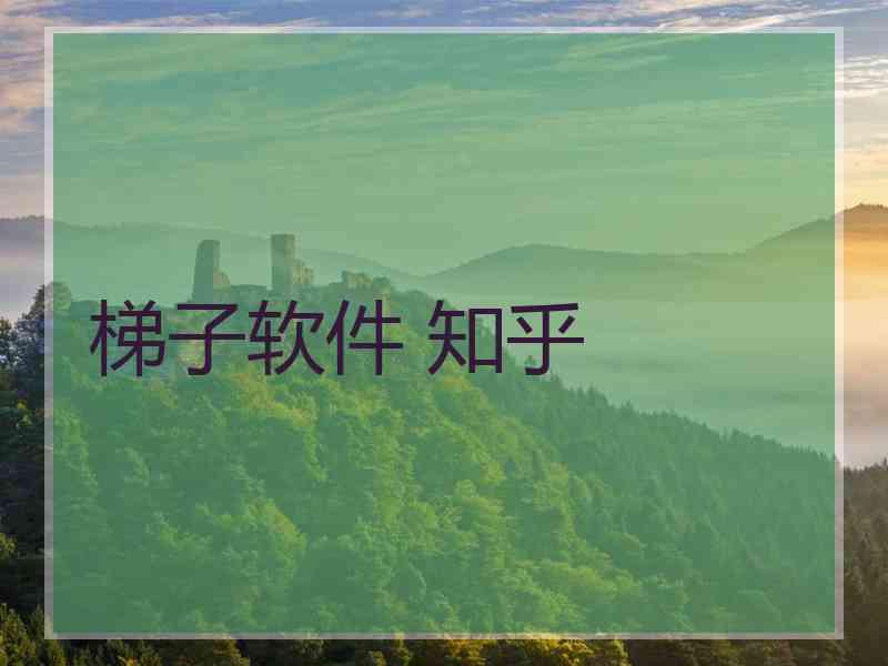 梯子软件 知乎
