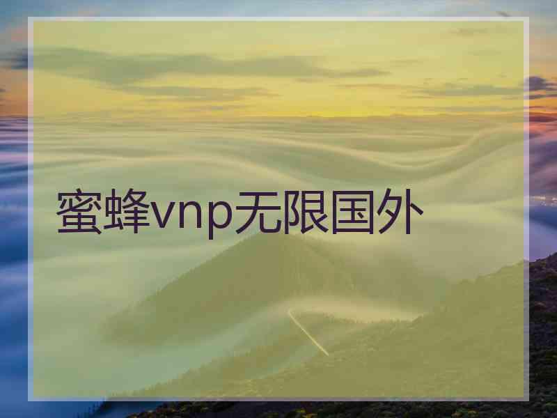 蜜蜂vnp无限国外