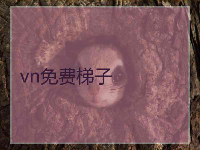 vn免费梯子