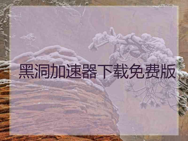 黑洞加速器下载免费版