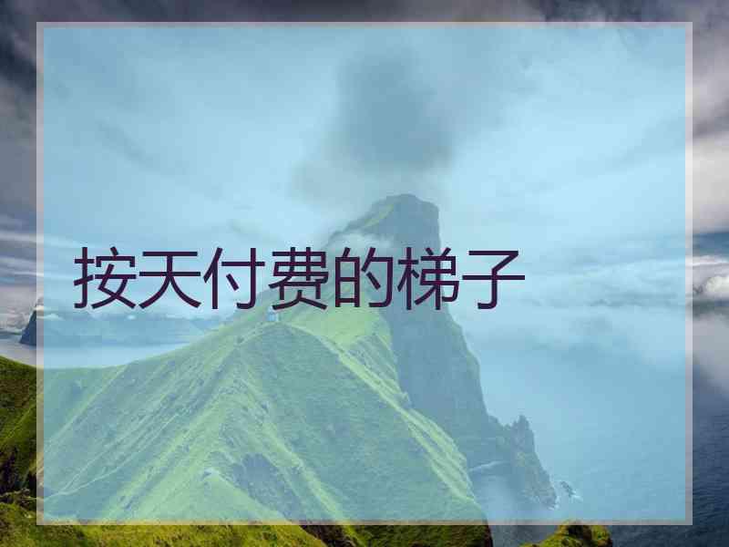 按天付费的梯子