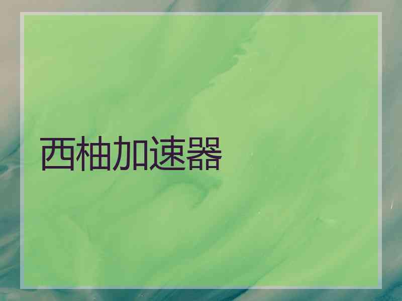 西柚加速器