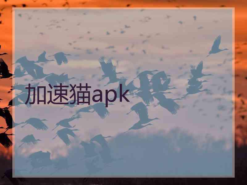 加速猫apk