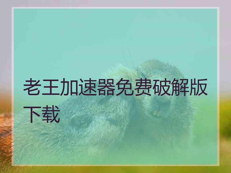 老王加速器免费破解版下载