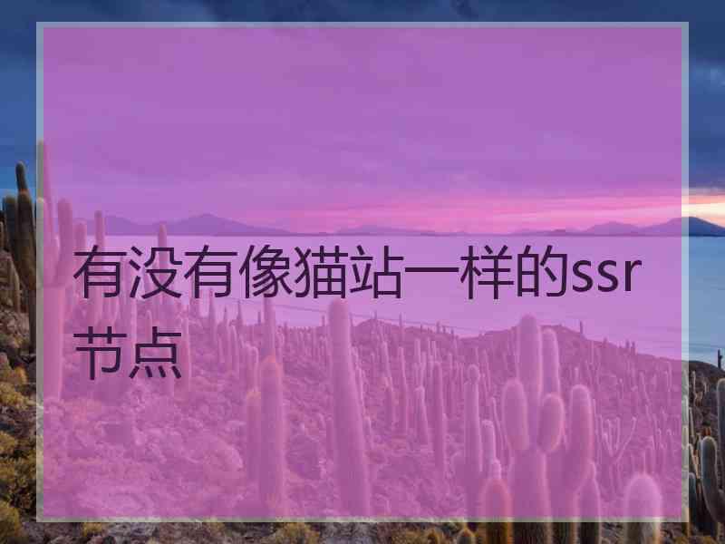 有没有像猫站一样的ssr节点