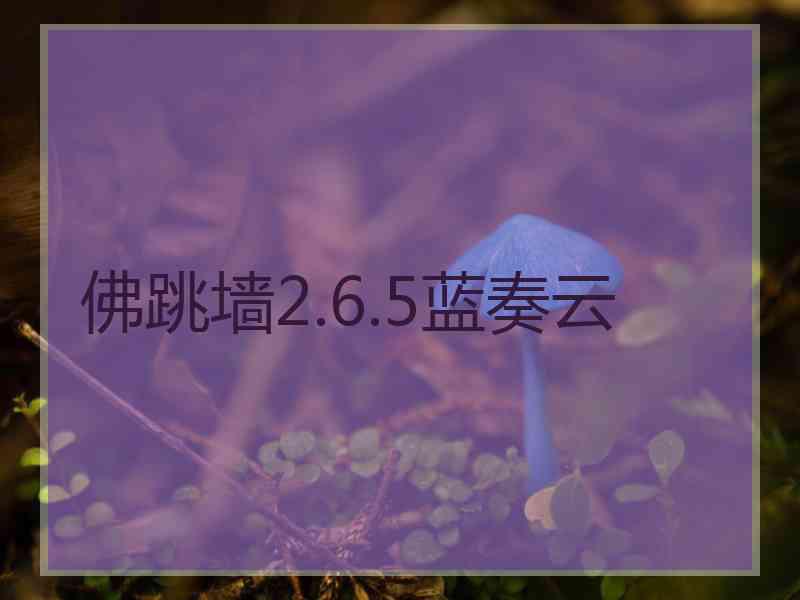 佛跳墙2.6.5蓝奏云