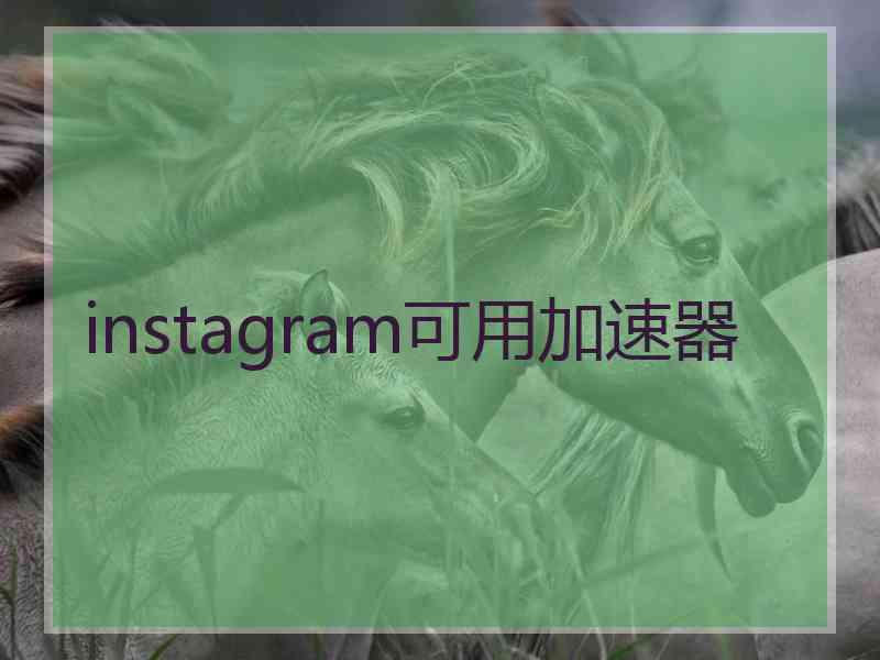instagram可用加速器