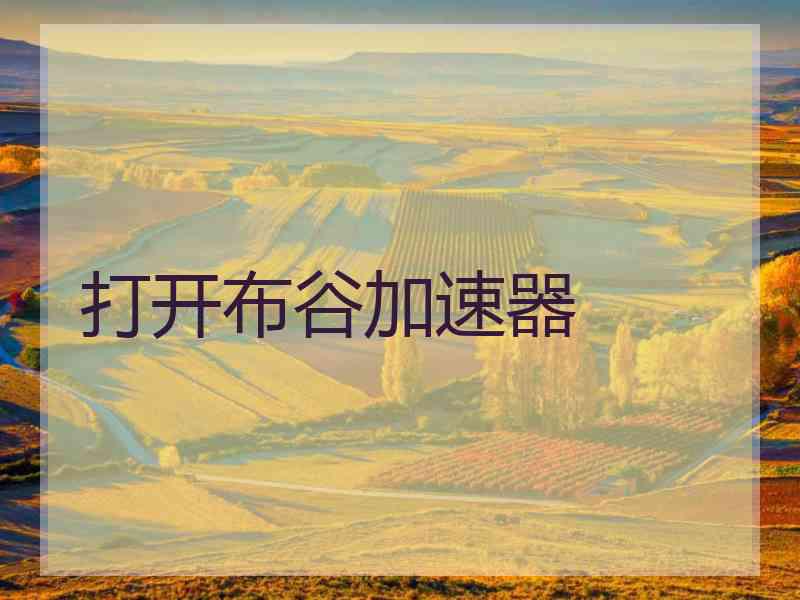 打开布谷加速器