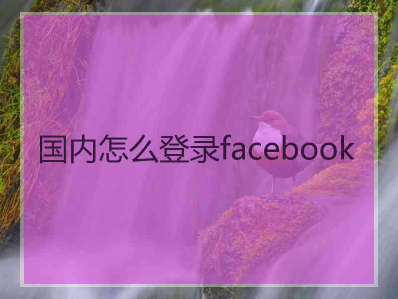 国内怎么登录facebook
