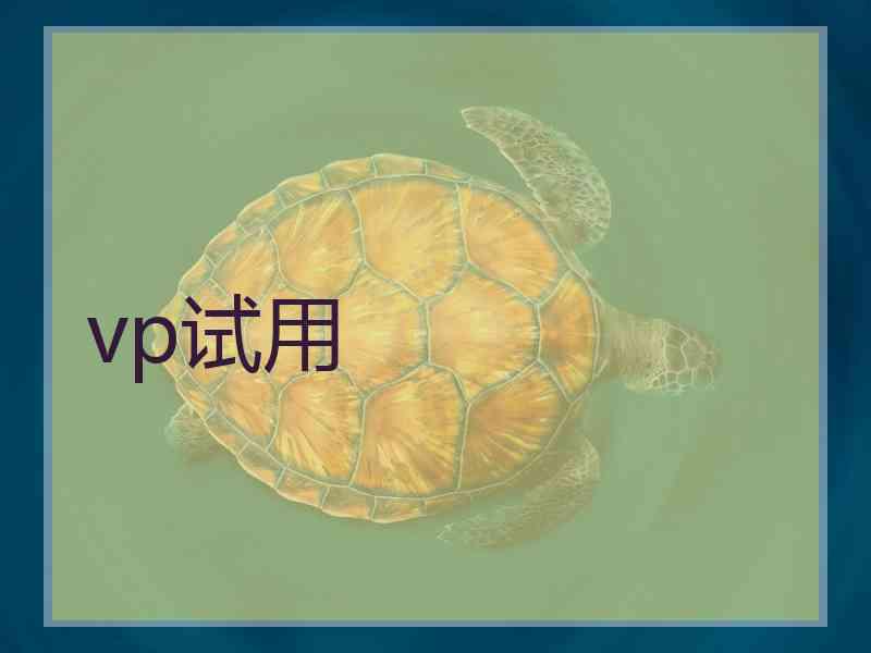 vp试用