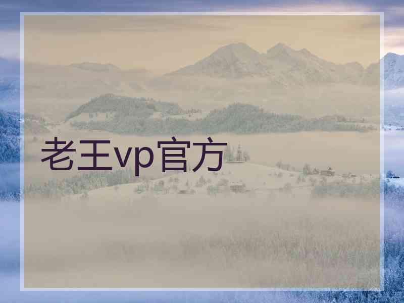 老王vp官方
