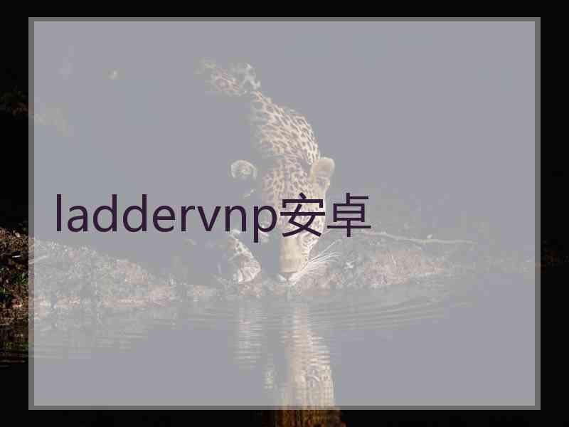 laddervnp安卓