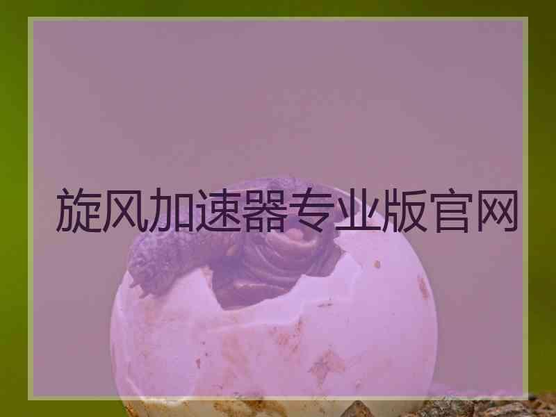 旋风加速器专业版官网