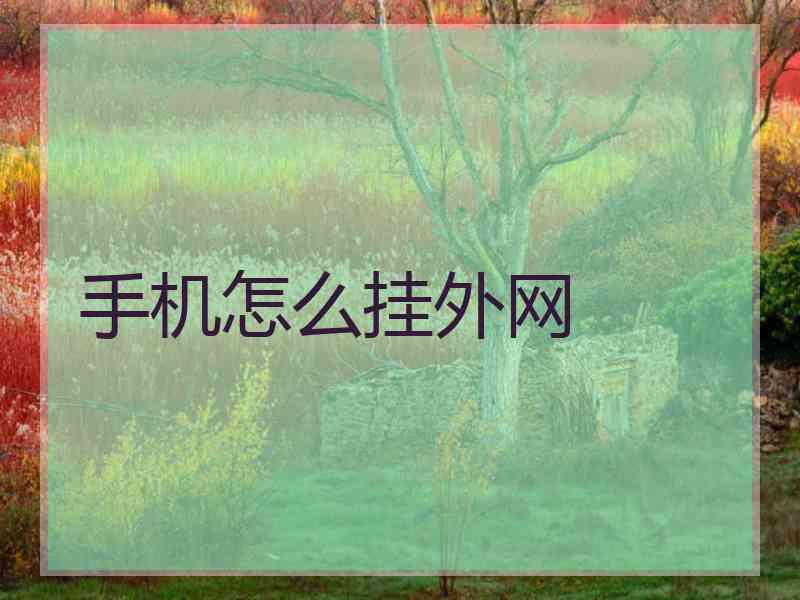 手机怎么挂外网
