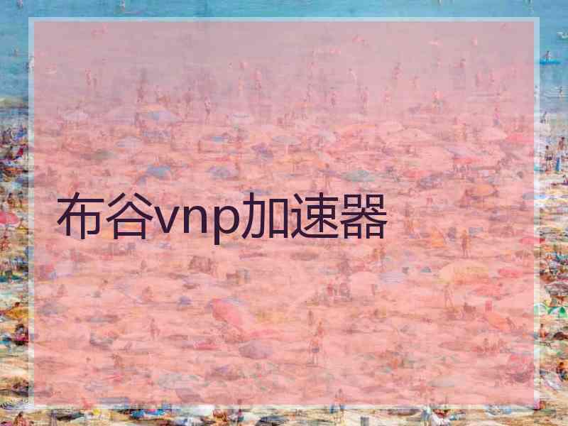 布谷vnp加速器