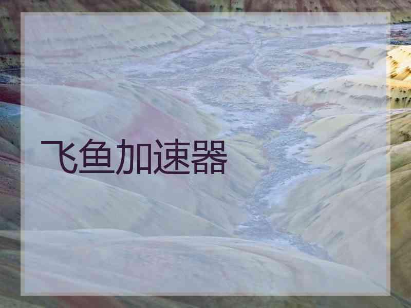 飞鱼加速器