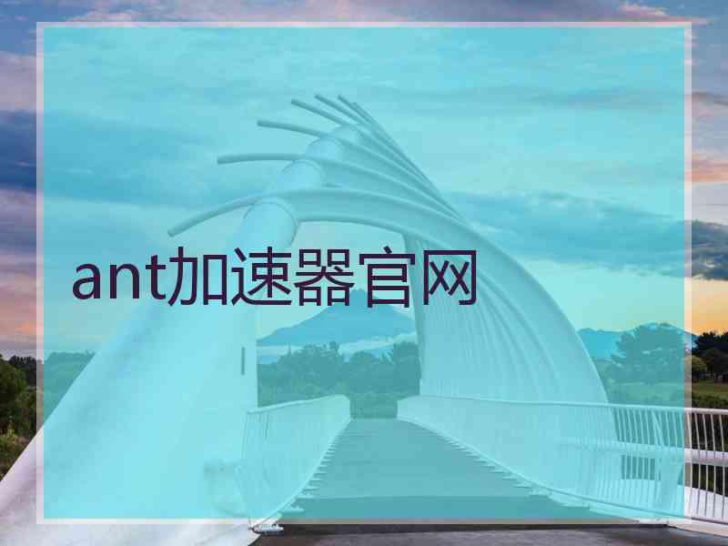 ant加速器官网