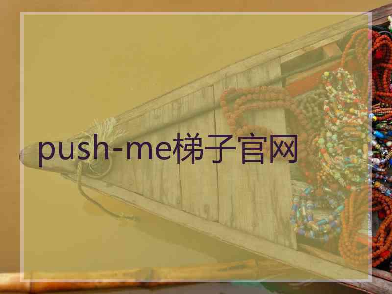 push-me梯子官网