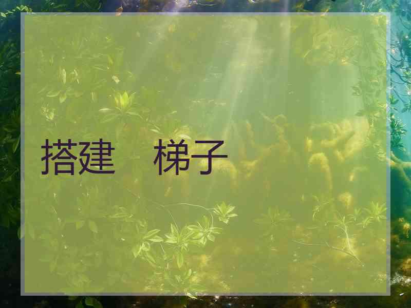 搭建　梯子