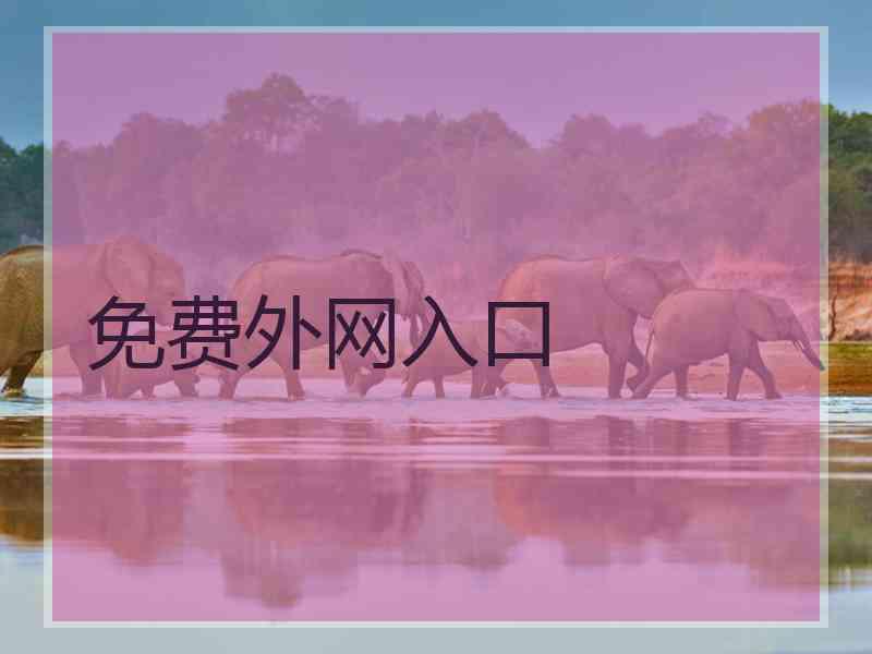 免费外网入口
