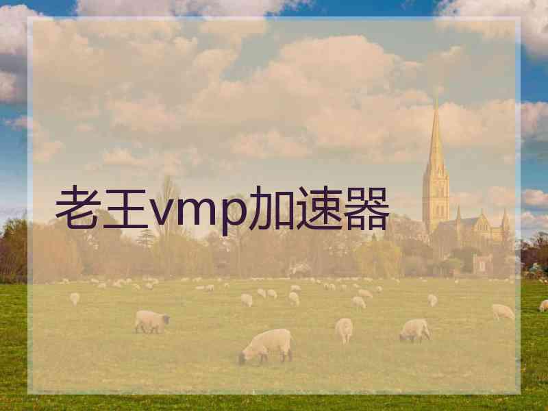 老王vmp加速器