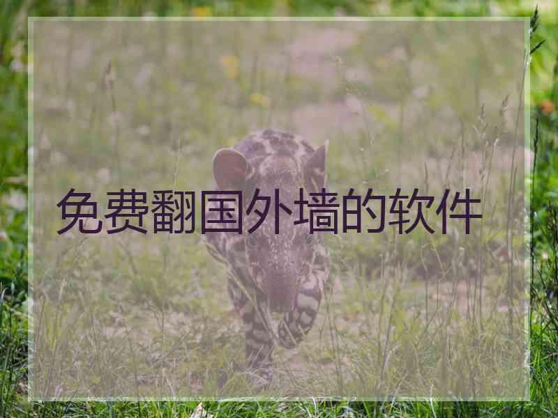 免费翻国外墙的软件