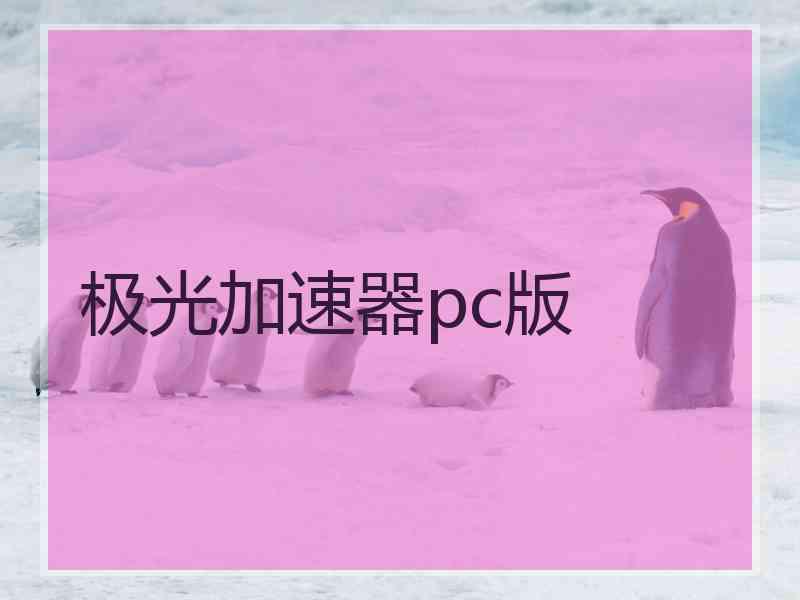 极光加速器pc版