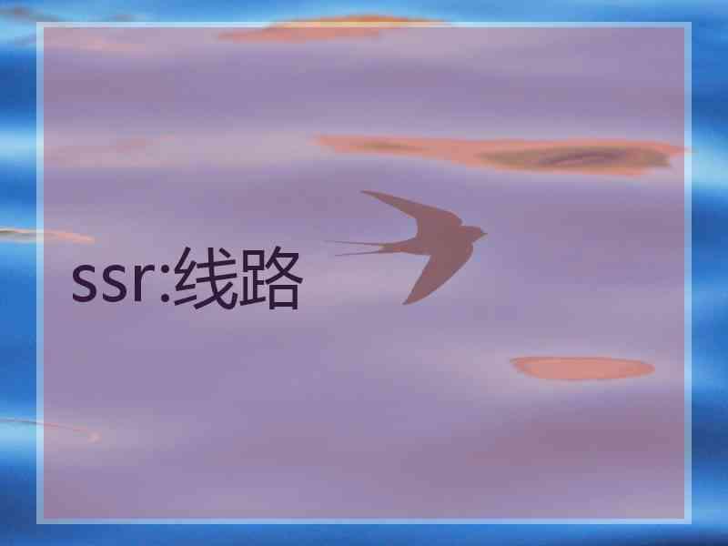 ssr:线路