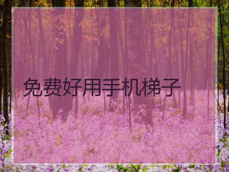 免费好用手机梯子
