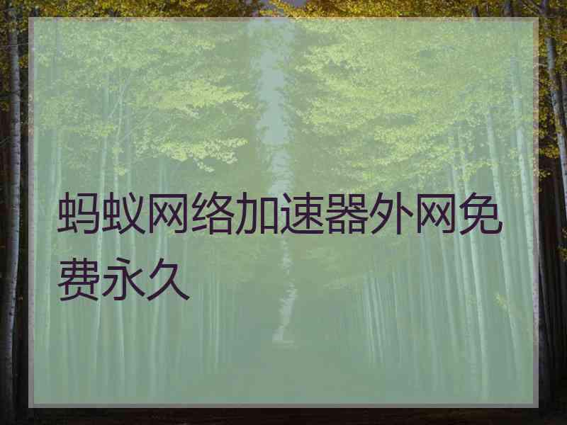 蚂蚁网络加速器外网免费永久