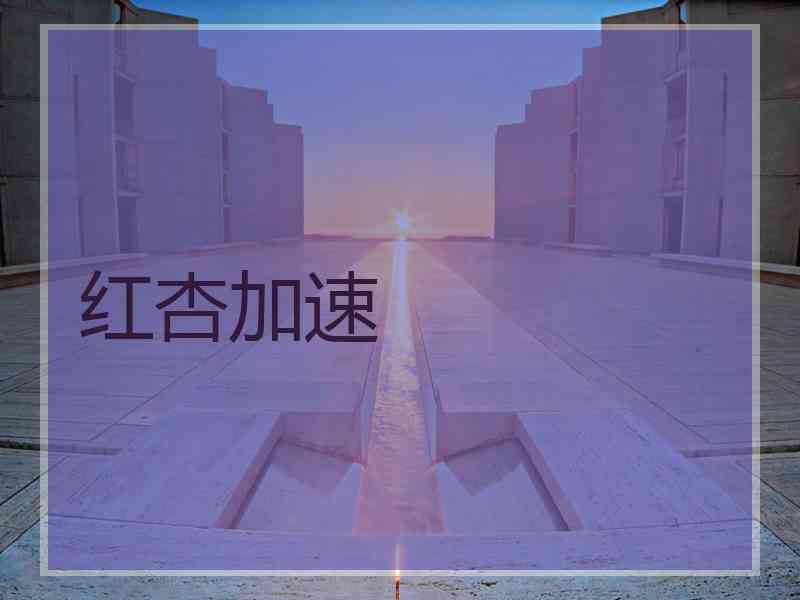 红杏加速