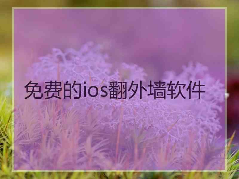免费的ios翻外墙软件