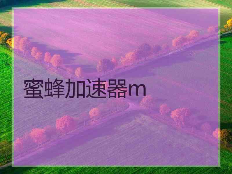 蜜蜂加速器m