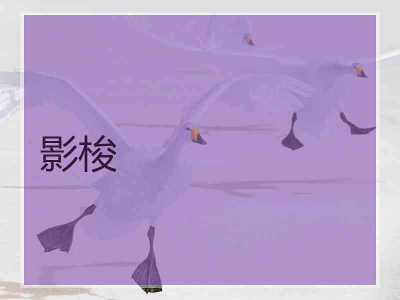 影梭