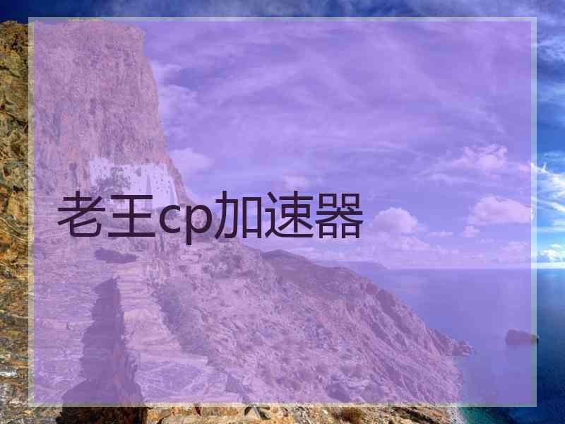 老王cp加速器