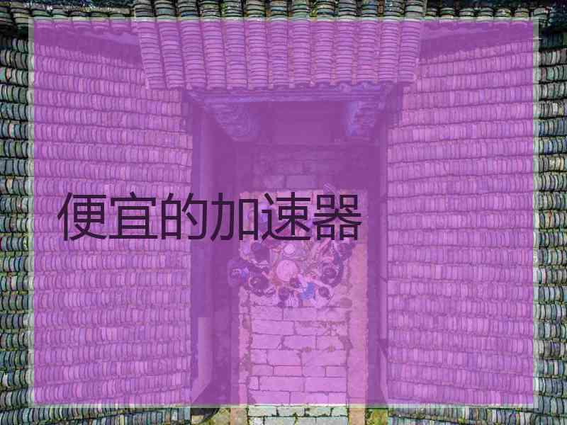 便宜的加速器