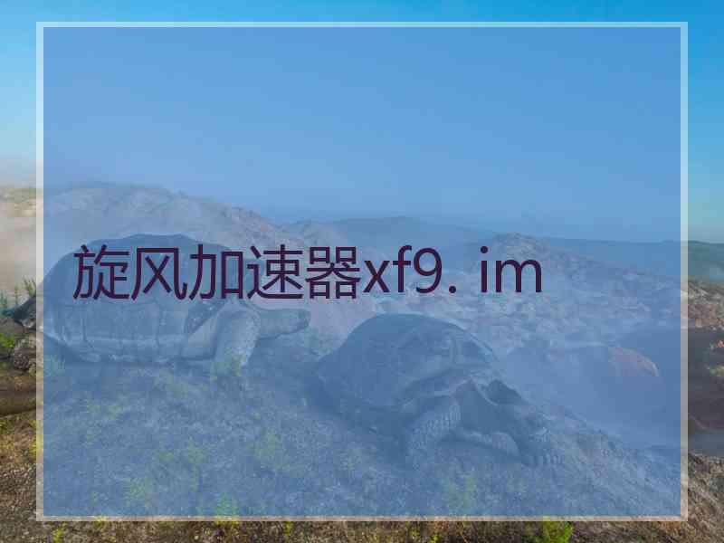 旋风加速器xf9. im