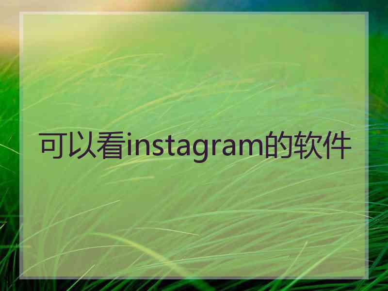 可以看instagram的软件